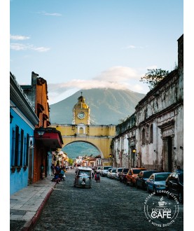 Café en grain du Guatemala torréfié en France Huehuetenango