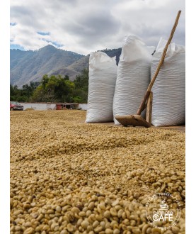 Café bio grain du Guatemala torréfié en France Huehuetenango