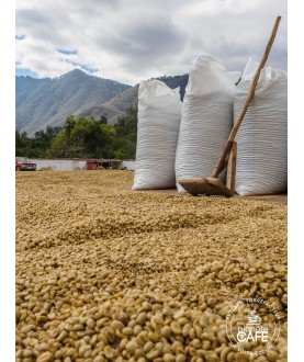 Café bio moulu du Guatemala torréfié en France Huehuetenango