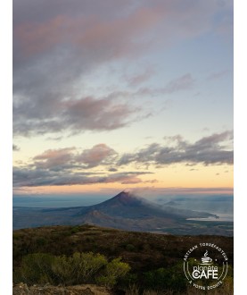 Café moulu du Nicaragua torréfié en France - Tipitapa