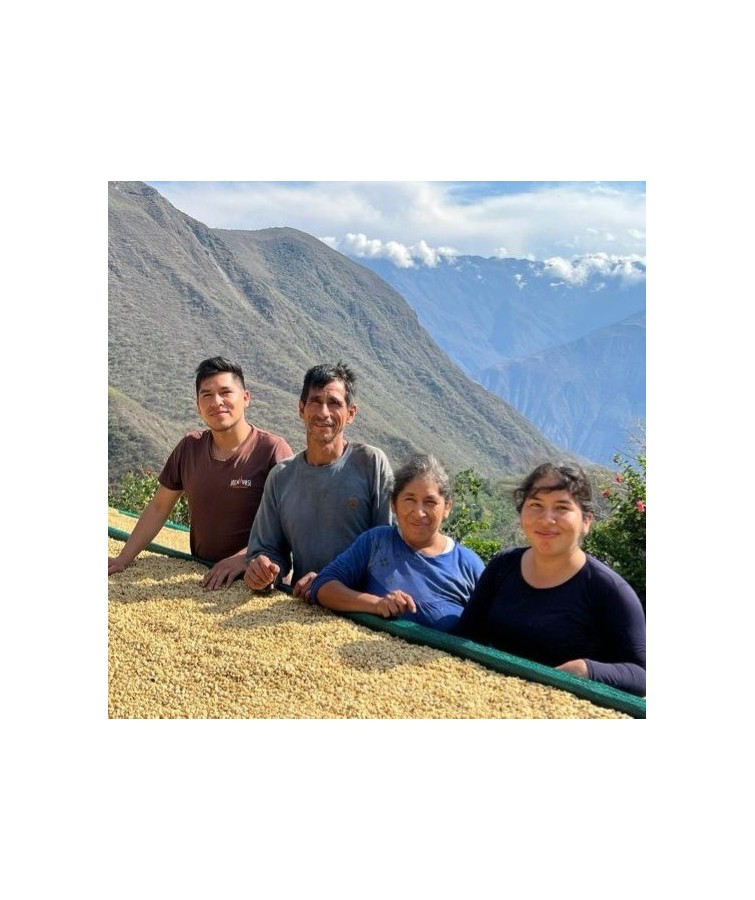 Café Cusco, Pérou Bio - Grain