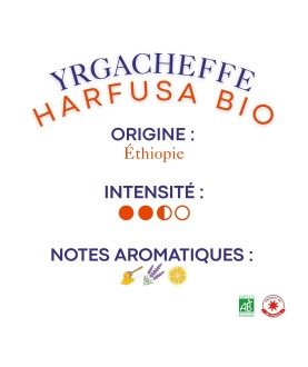 Café Yrgacheffe Harfusa bio, Éthiopie - Moulu